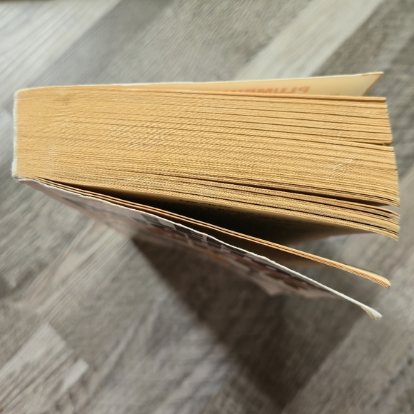 LEN DEIGHTON SPY SINKER Paperback - Hook, Line & Sinker Series - Book 3 - Picture 3 of 8